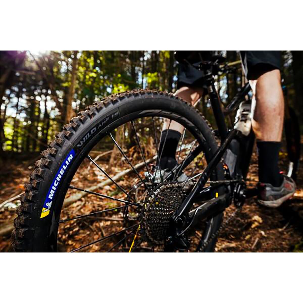 Reifen MICHELIN WILD AM2 Competition Line 29X2.60 Tubeless Ready Souple