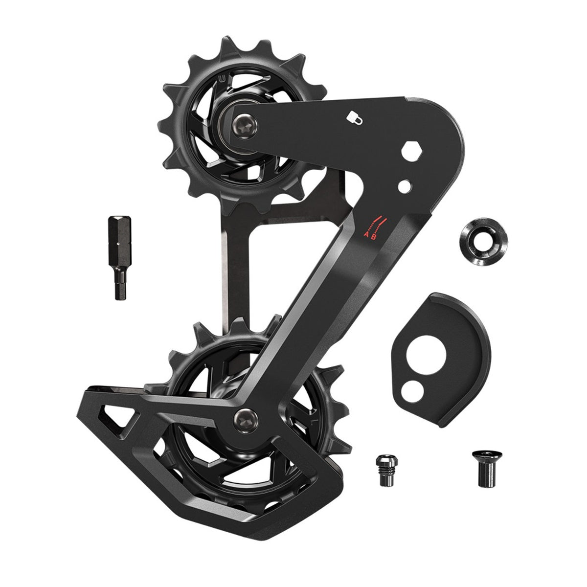 Käfig + Rollen SRAM XO/XX/XX-SL T-TYPE EAGLE AXS