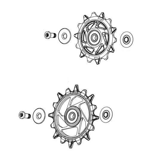 Rollen für Hinteres Schaltwerk 12-fach SRAM XX-SL T-TYPE EAGLE AXS / RED XPLR E1