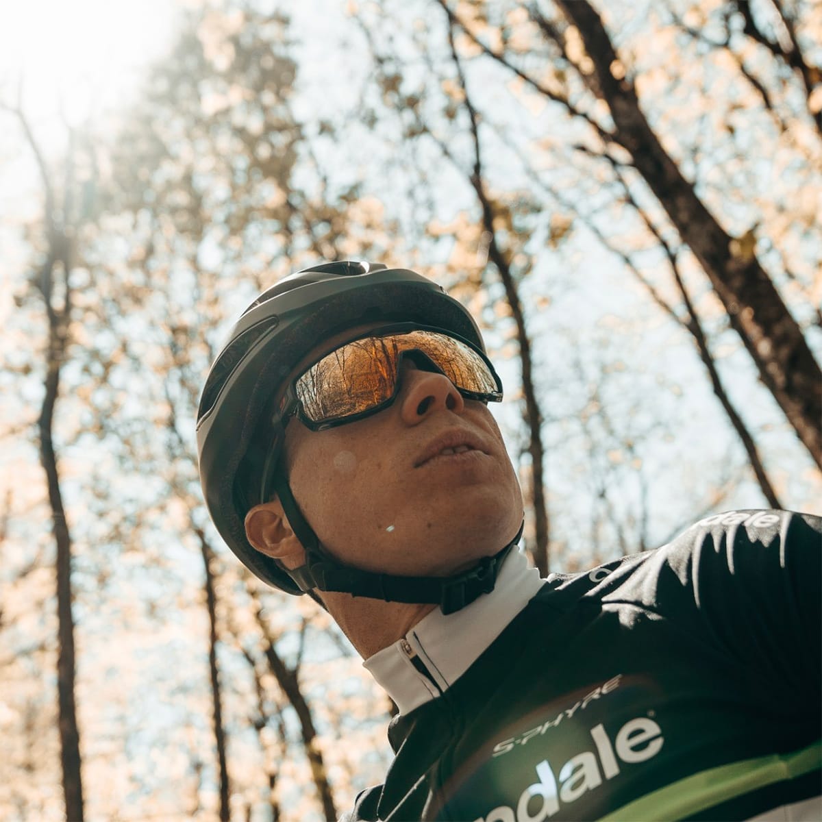 Brille JULBO RUSH Matt Schwarz/Glänzend Schwarz Reactiv Gelb/Braun