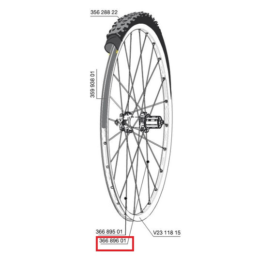 Set 12 Hinterradspeichen MAVIC CROSSROC/CROSSRIDE UST/CROSSMAX ELITE/XA ELITE 29" KSYRIUM UST Disc/AKSIUM UST Disc 293mm