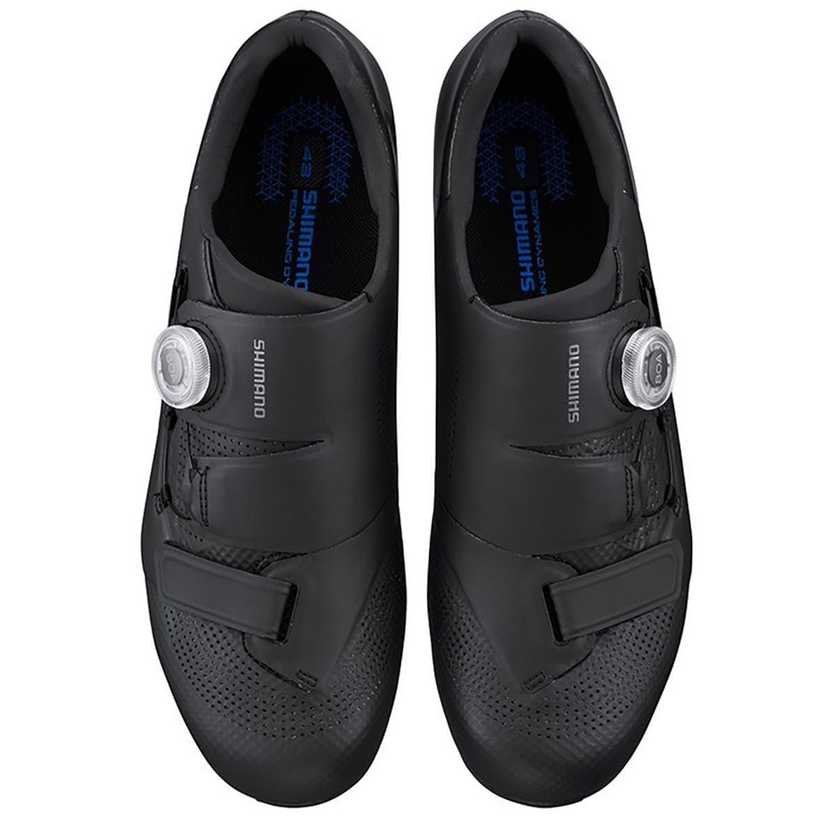 Rennradschuhe SHIMANO RC5 Schwarz
