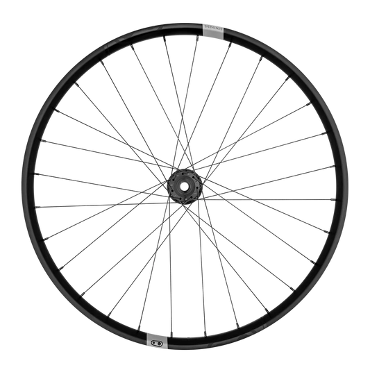 Vorderrad CRANKBROTHERS SYNTHESIS Enduro I9 29" 15x110 mm Boost