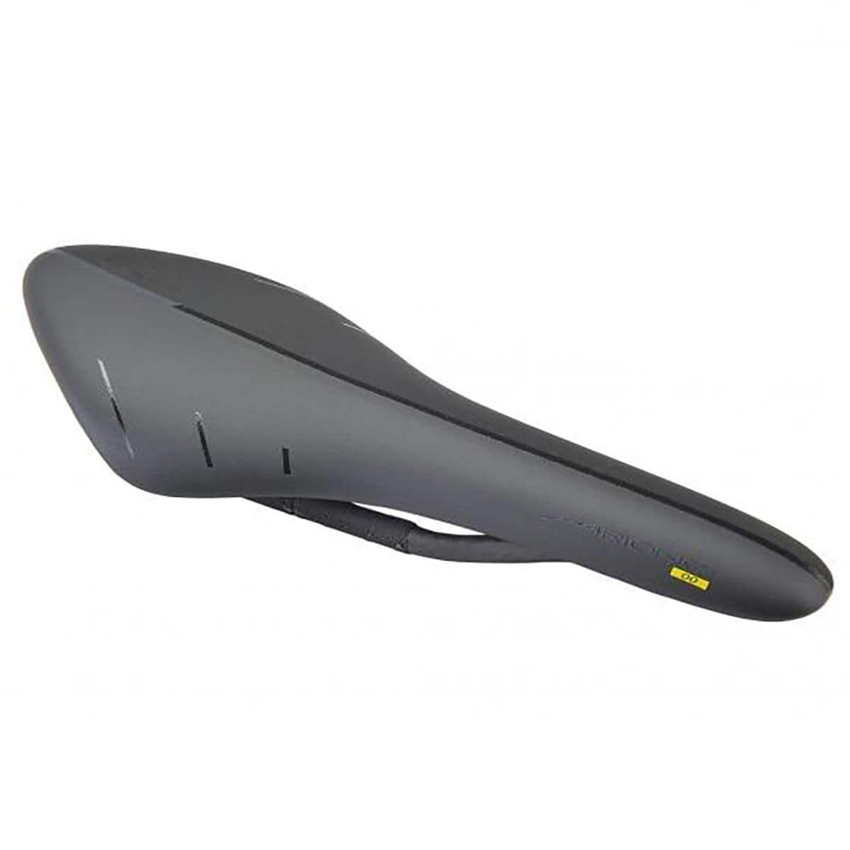 Sattel FIZIK ARIONE 00 Carbon Mobius Schienen