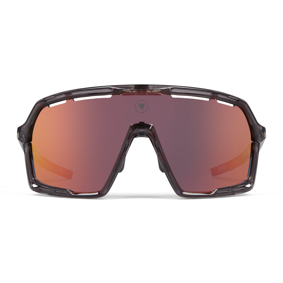 ENDURA PRO SL Brille Grau