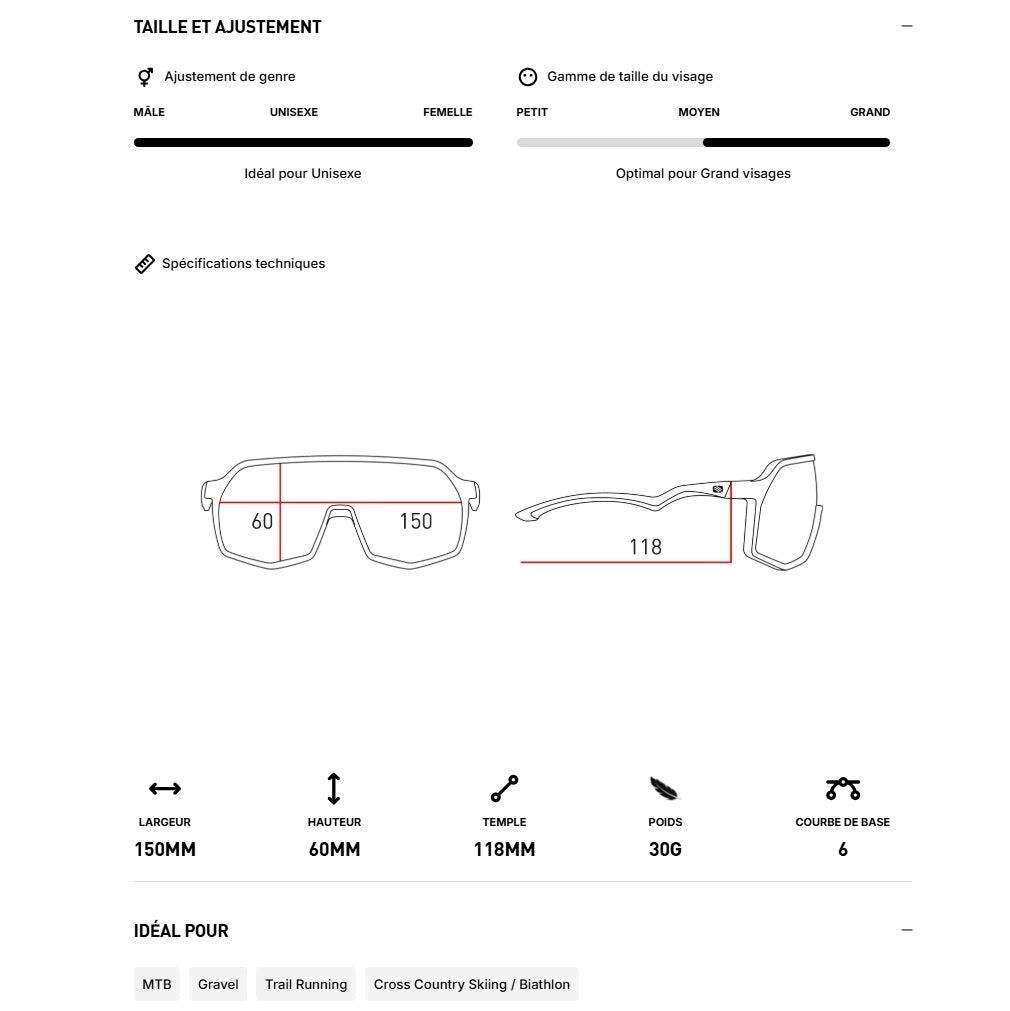 Brille RUDY PROJECT THUNDER Schwarz Gläser RP Optics Smoke Black