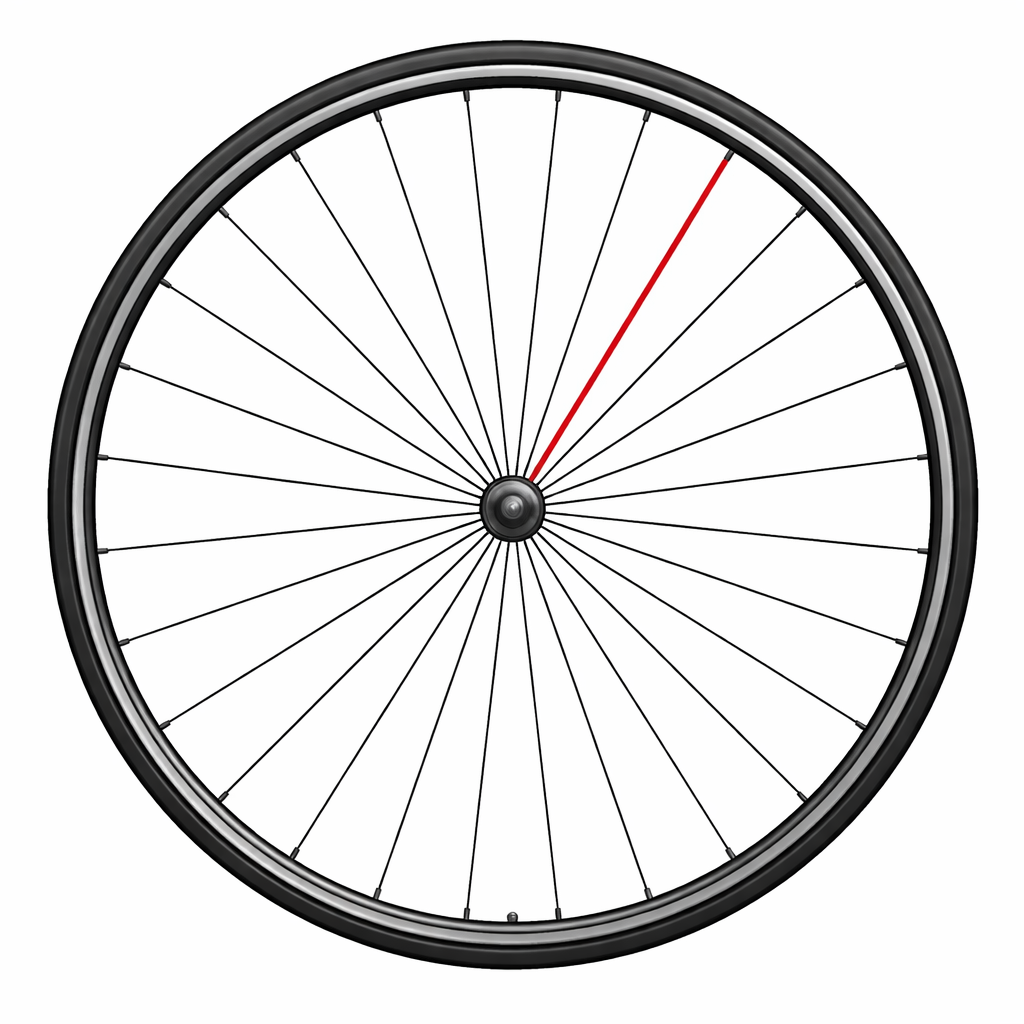 Speiche CAMPAGNOLO SHAMAL ULTRA Hinten Links 2010-2016 276,5mm (x1)