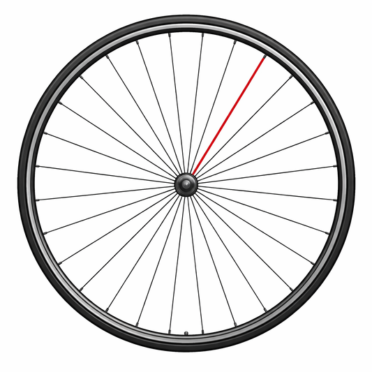 Speiche CAMPAGNOLO SHAMAL ULTRA Vorne 2010-2016 und Hinten Rechts 2012-2016 279,2mm (x1)