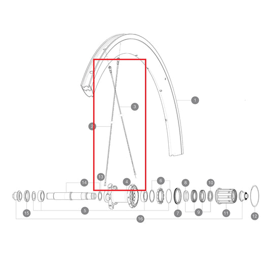 Kit 12 Speichen HR MAVIC COSMIC PRO CARBON 277mm