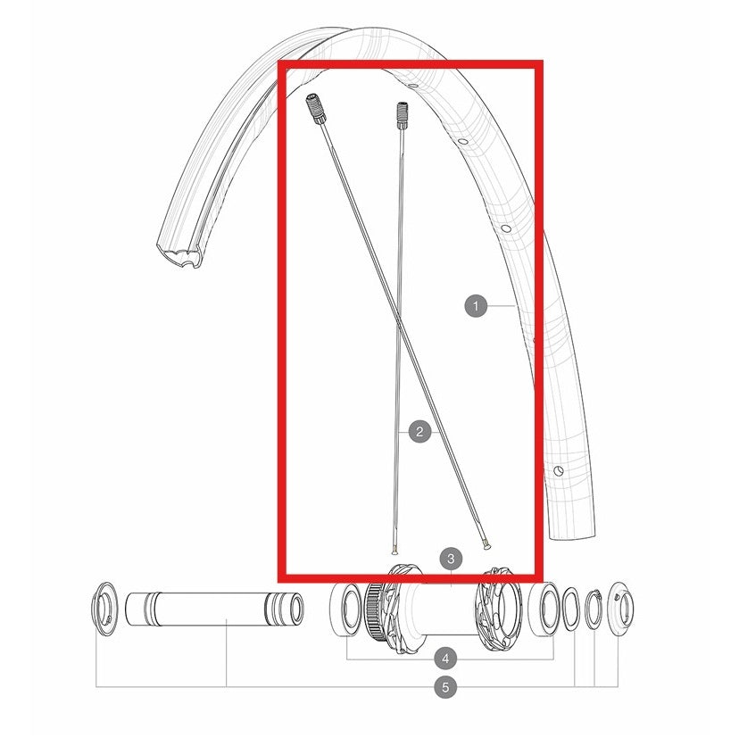 Kit 12 Speichen Vd/Hd MAVIC ALLROAD SL AERO 298mm M7/7