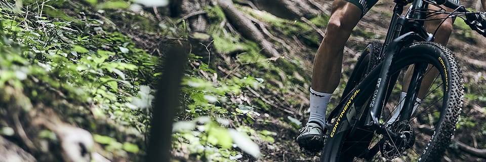 Wie wählt man seine MTB-Naben?