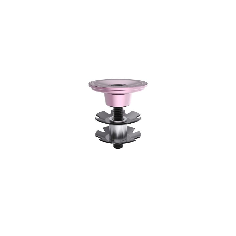 Vorbaukappe TITLE Rosa